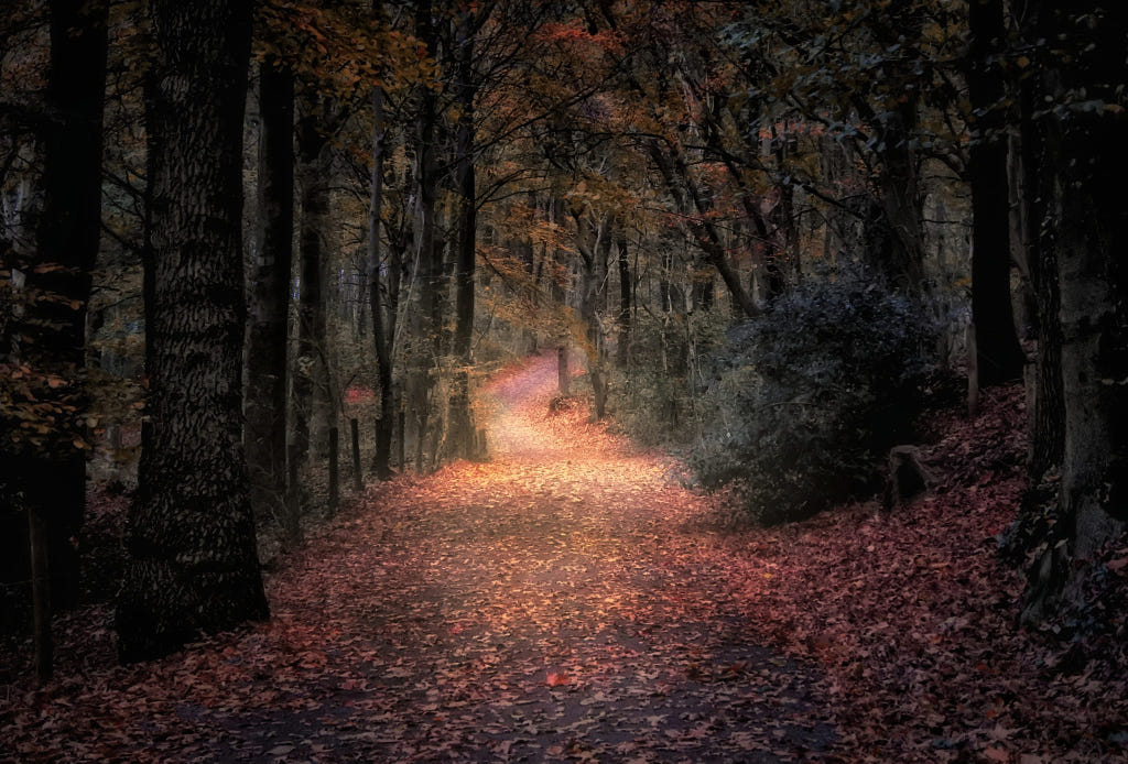 500px