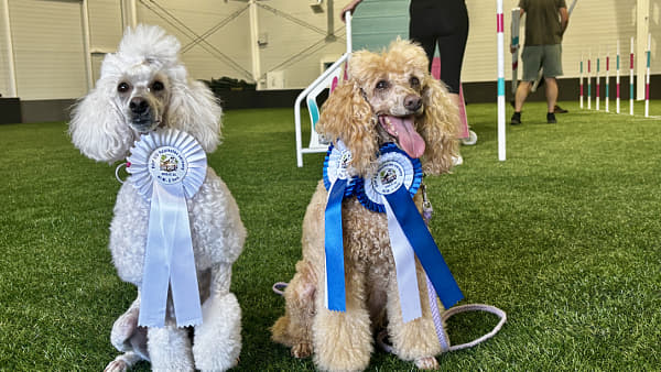 IMG_5019 by Alice Smith on 500px.com