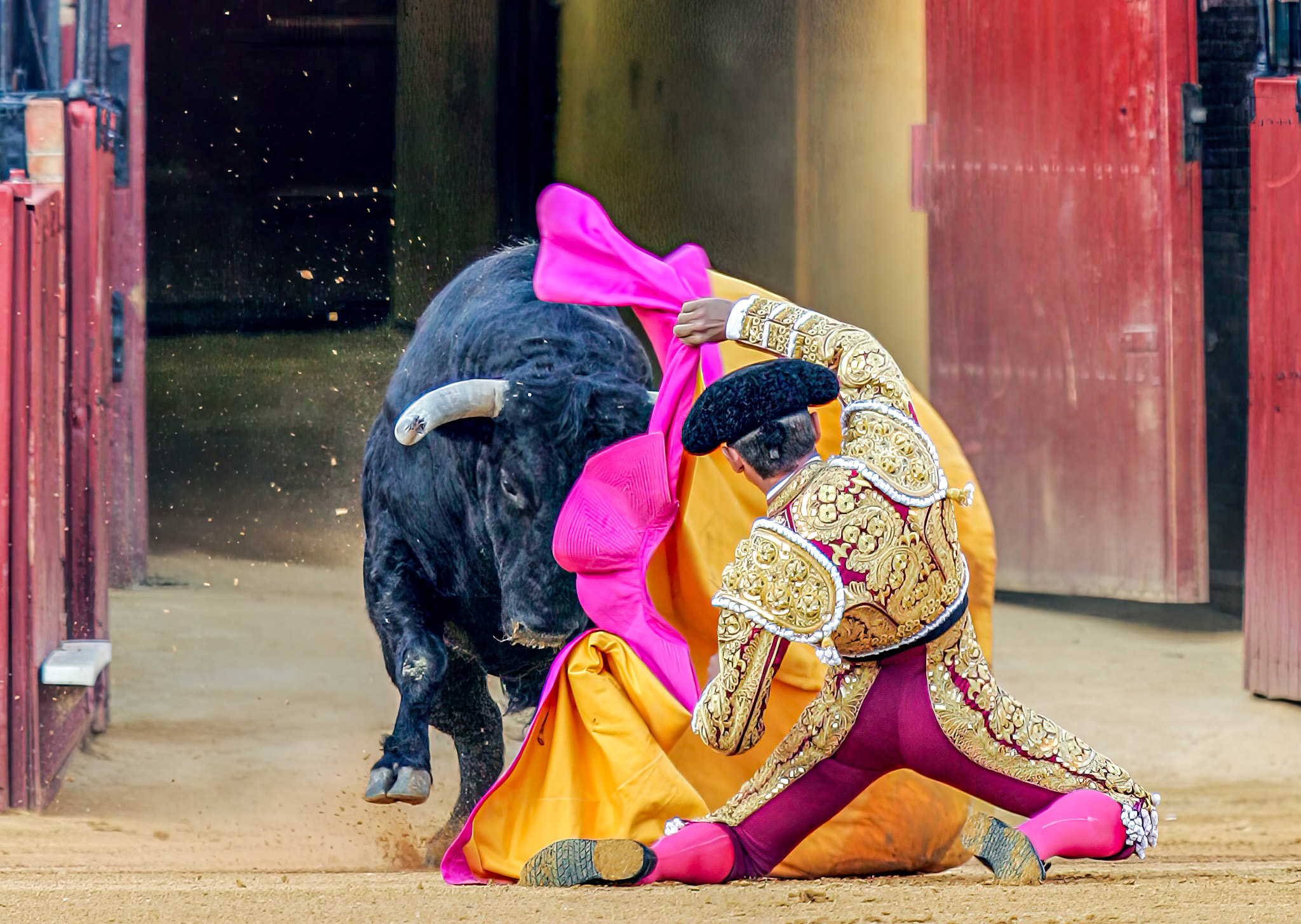 Bull Charging at Matador in Spanish Bullring