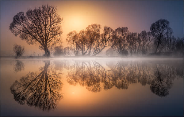 Goldener Morgen