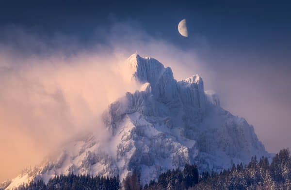 Out of the fog