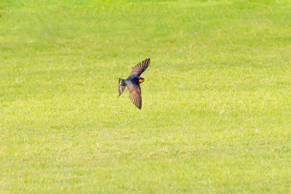 Kanamit by Paul Amyes on 500px.com