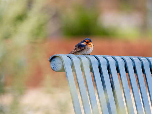 Kanamit by Paul Amyes on 500px.com