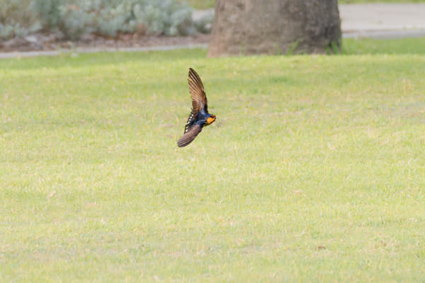 Kanamit by Paul Amyes on 500px.com