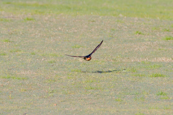 Kanamit by Paul Amyes on 500px.com