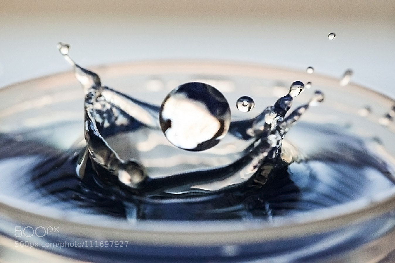 Canon EOS 5D Mark II sample photo. Untitledcopy photography