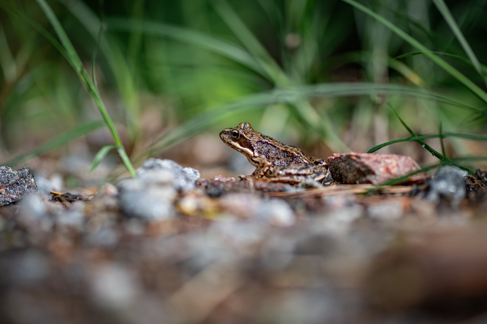 v2?sig=bc5df945e977b241fbe177d3bcfc619ecaad1d8b714387a39fcca82f74e2e3c3