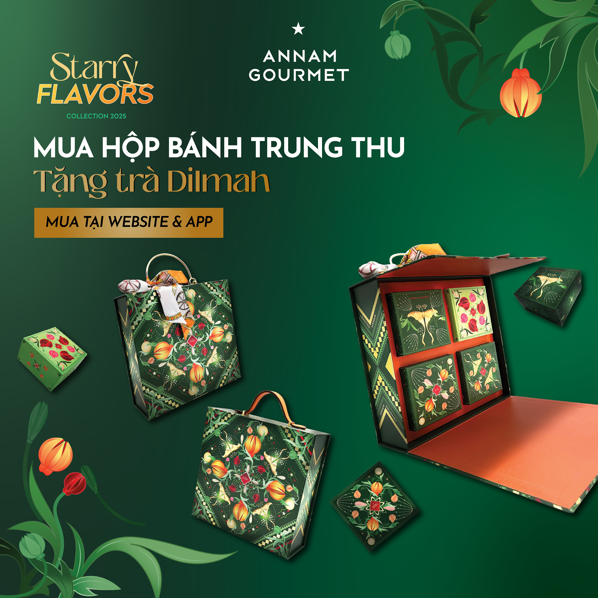 starry-set-bo-suu-tap-goi-gon-tinh-hoa-am-thuc-cua-mua-trang-ram