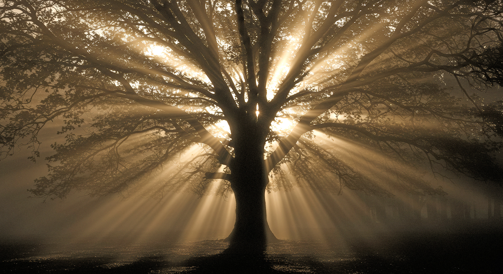 Luminar by Roberto Corinaldesi | 500px