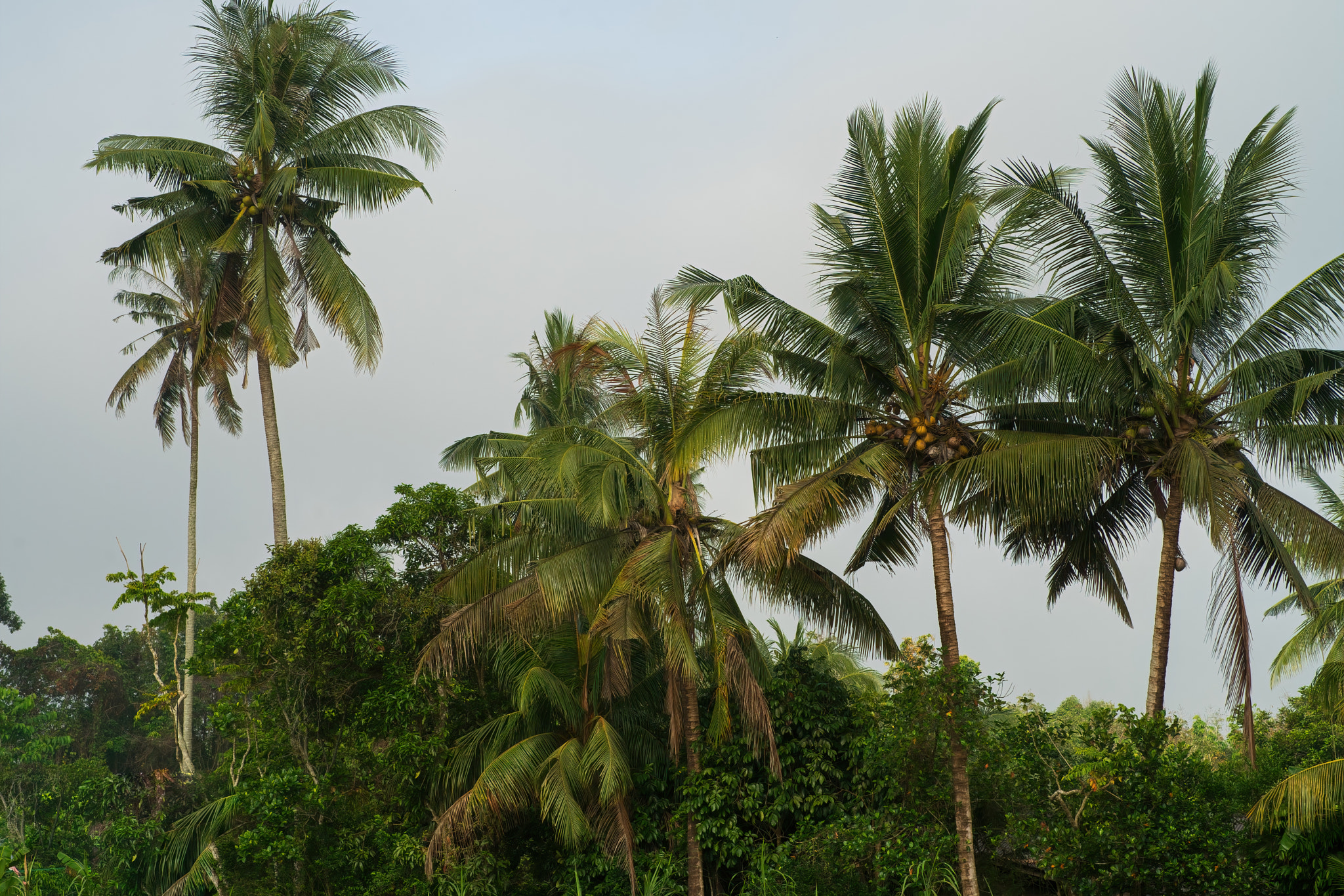 v2?sig=73aa7c773169878a86ec23fb229b69adfad0707fa78d67373b515bfaba8a0ab3