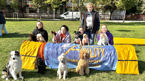 IMG_5485 by Alice Smith on 500px.com