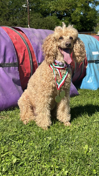 IMG_5413 by Alice Smith on 500px.com