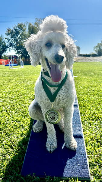 IMG_5374 by Alice Smith on 500px.com