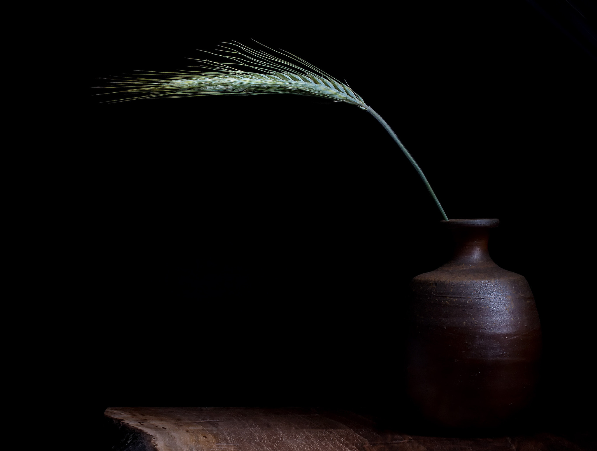 Grain