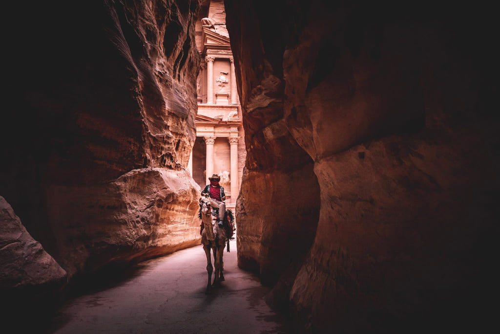 Vibrant Dahlia Bloom Radiating Beauty and Natural Perfection