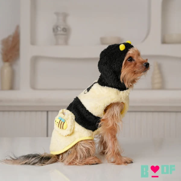 black dog dresses WarmShield Water-Resistant Jacket