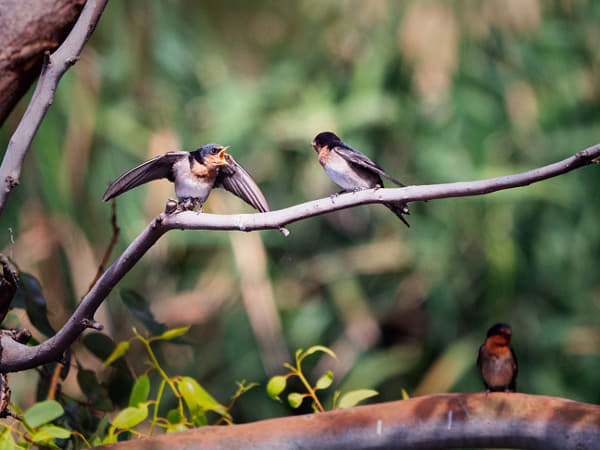Kanamit by Paul Amyes on 500px.com
