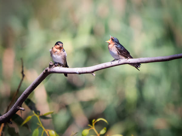 Kanamit by Paul Amyes on 500px.com