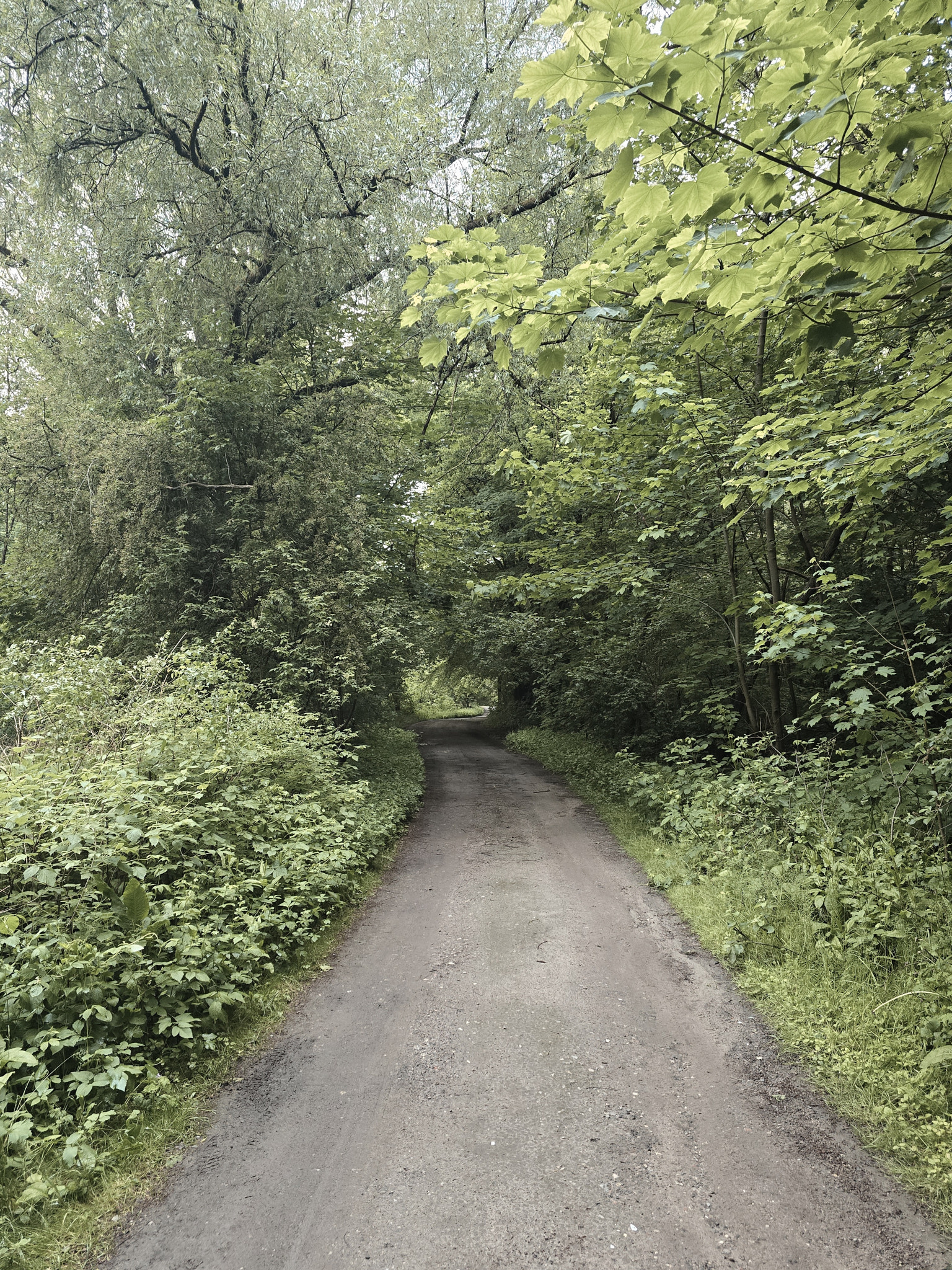 Nature