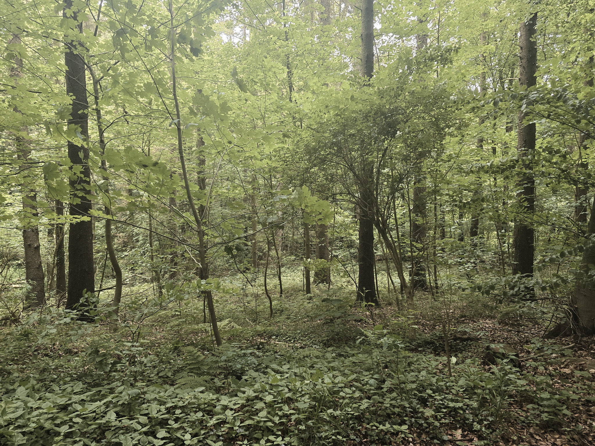 v2?sig=a3dd41114003a41338de6a50cd94ecd13b0f8fd016d080d404e927a4a2223e7a