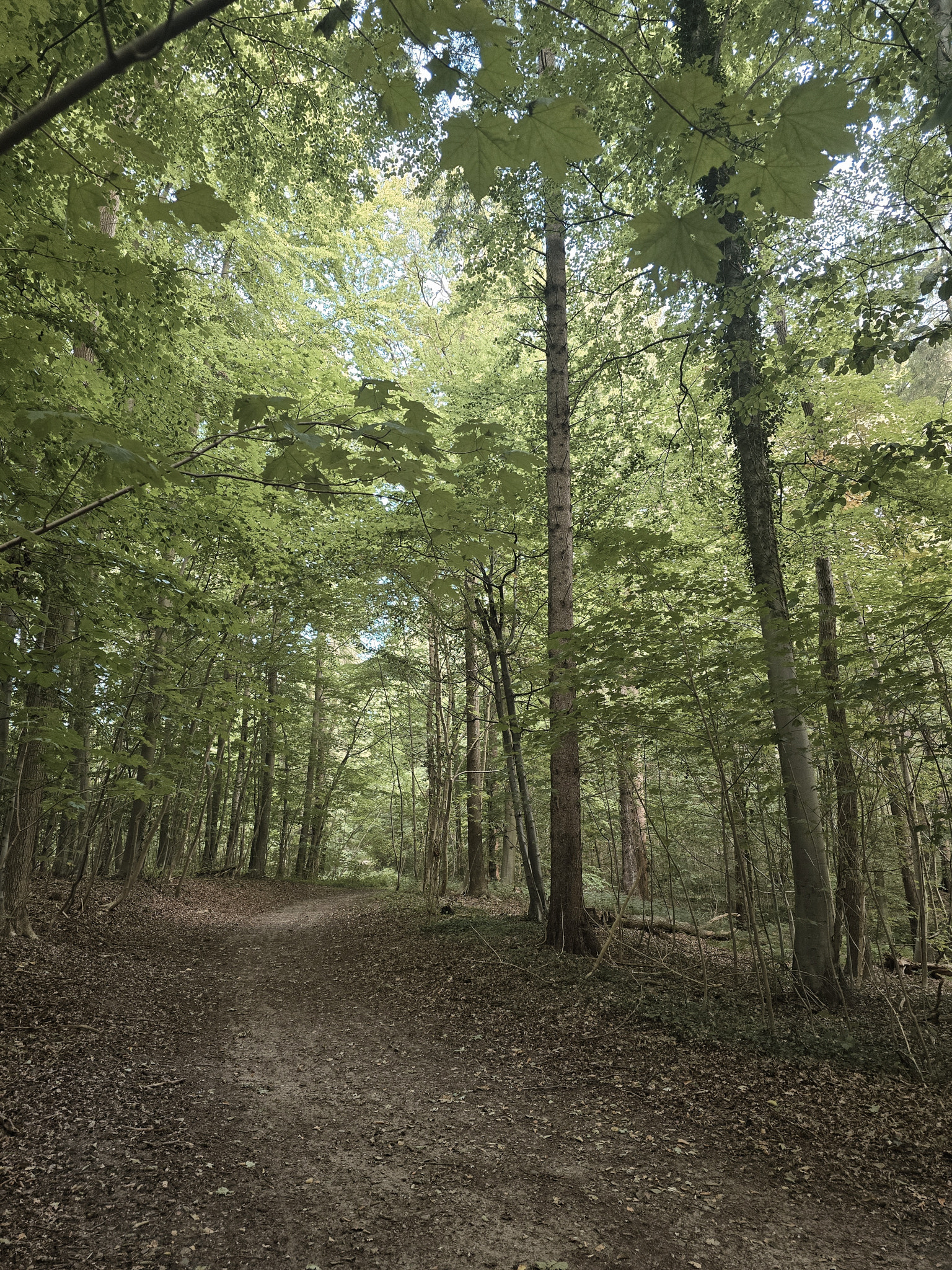 v2?sig=1d06cd2b10d59956391490d0169b1d707e09b172fee61f6d86fb6fd455dd2063