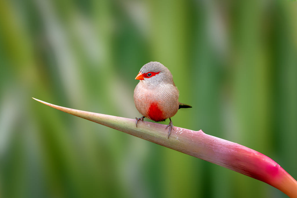 七彩雲霞 by Wizard/海洋/ | 500px