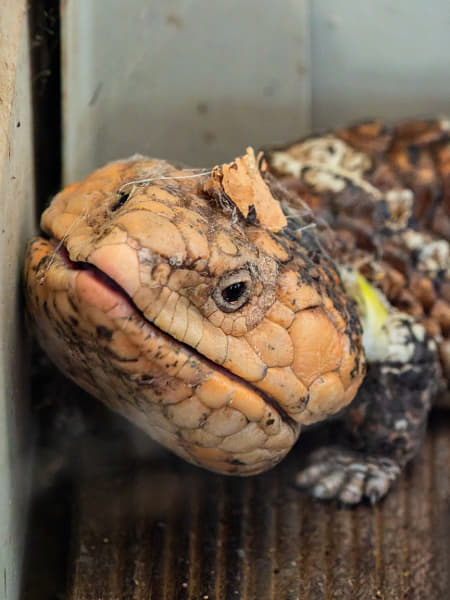 Yoorn by Paul Amyes on 500px.com