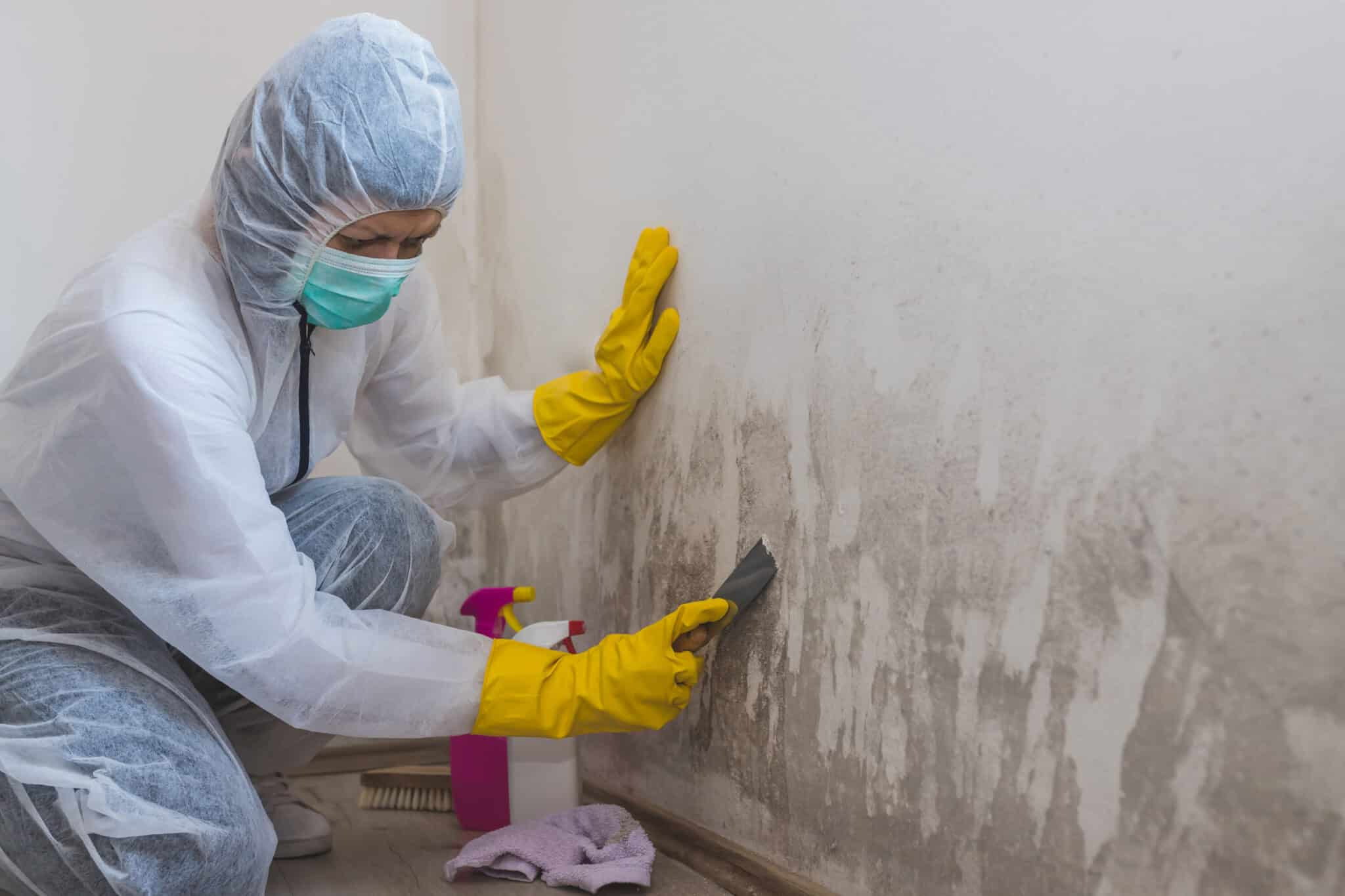 Certified Mold Remediation Done Right