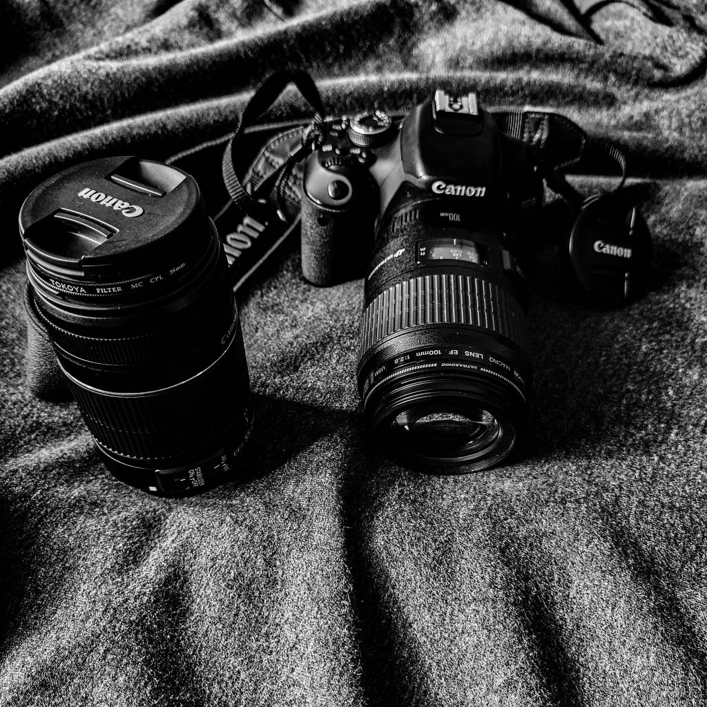 coriander-leaves-by-mahfuza-mitu-500px