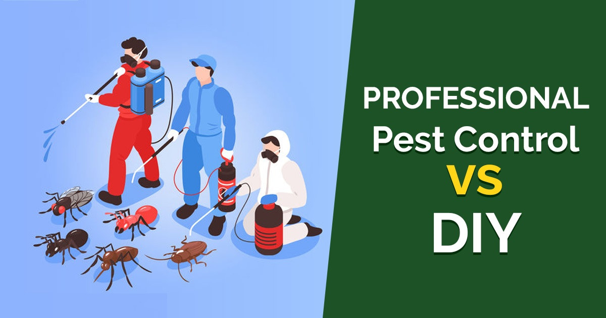 Professional Pest Control VS DIY Methods for Cleveland Homes
