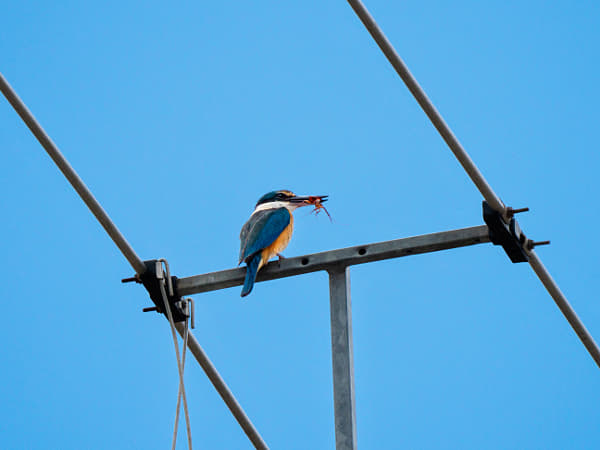 Kanyinak by Paul Amyes on 500px.com