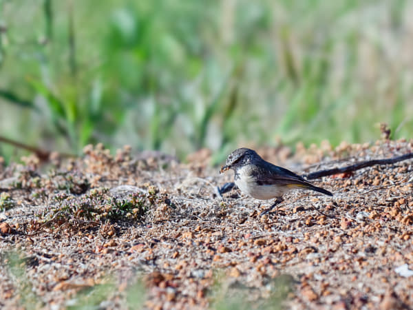 Djida by Paul Amyes on 500px.com