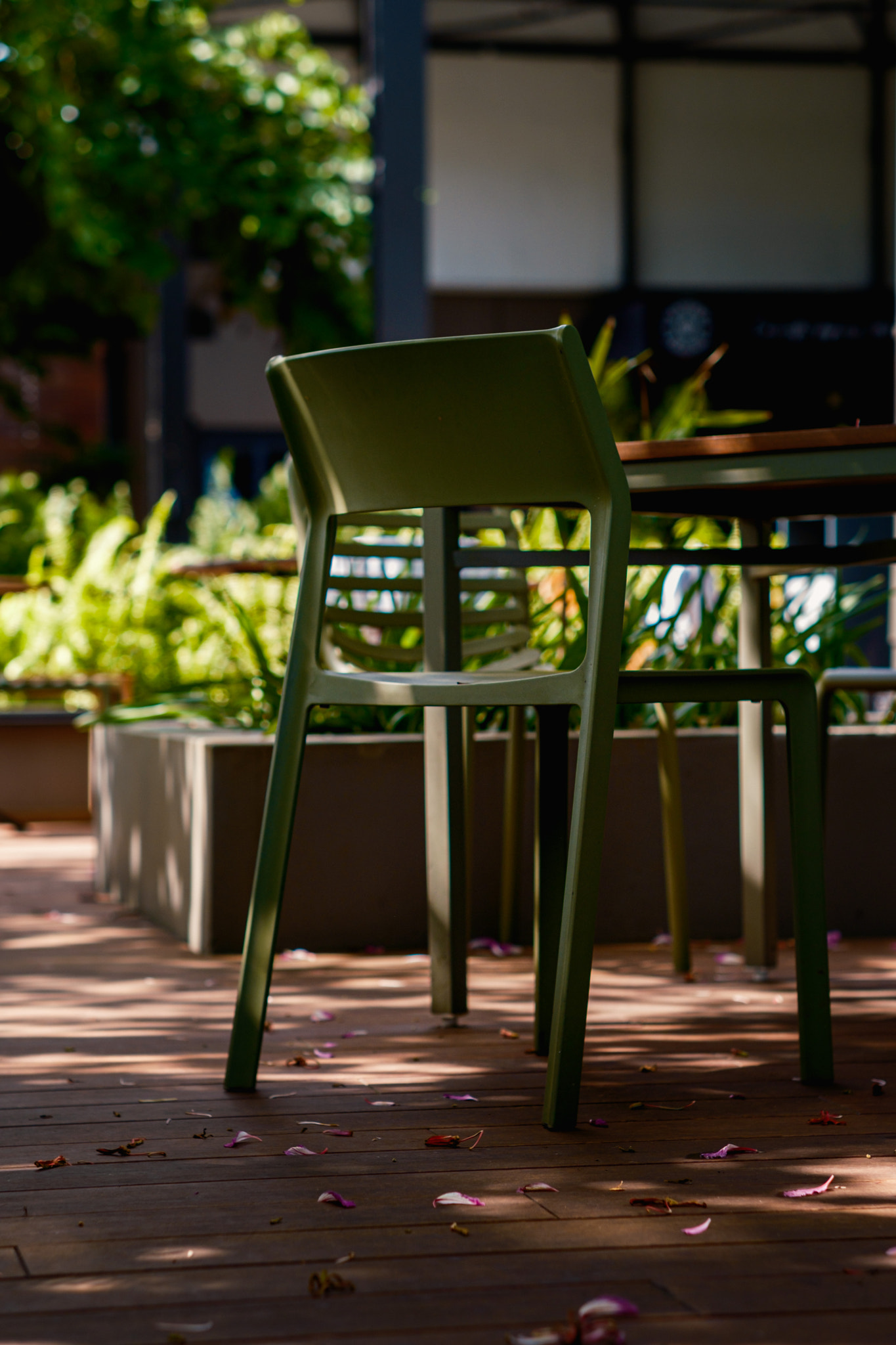 Modern Resin Outdoor Chair