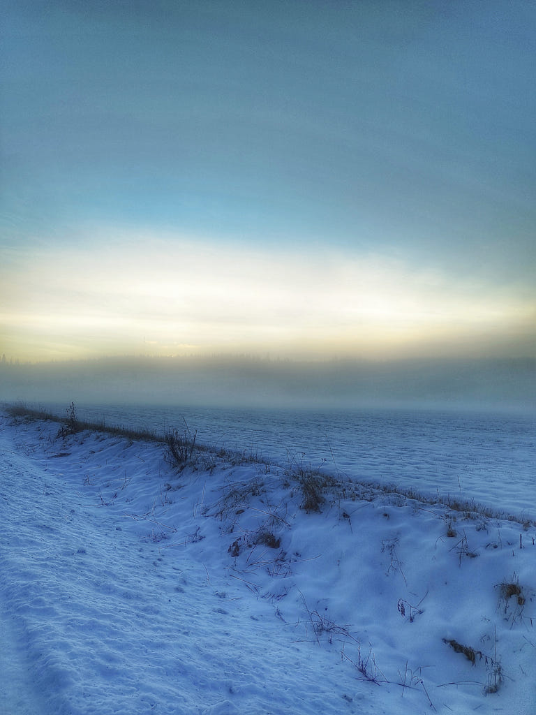 Snowy Field Meets Horizon Evoking Cold Solitude | landscape photo by ...