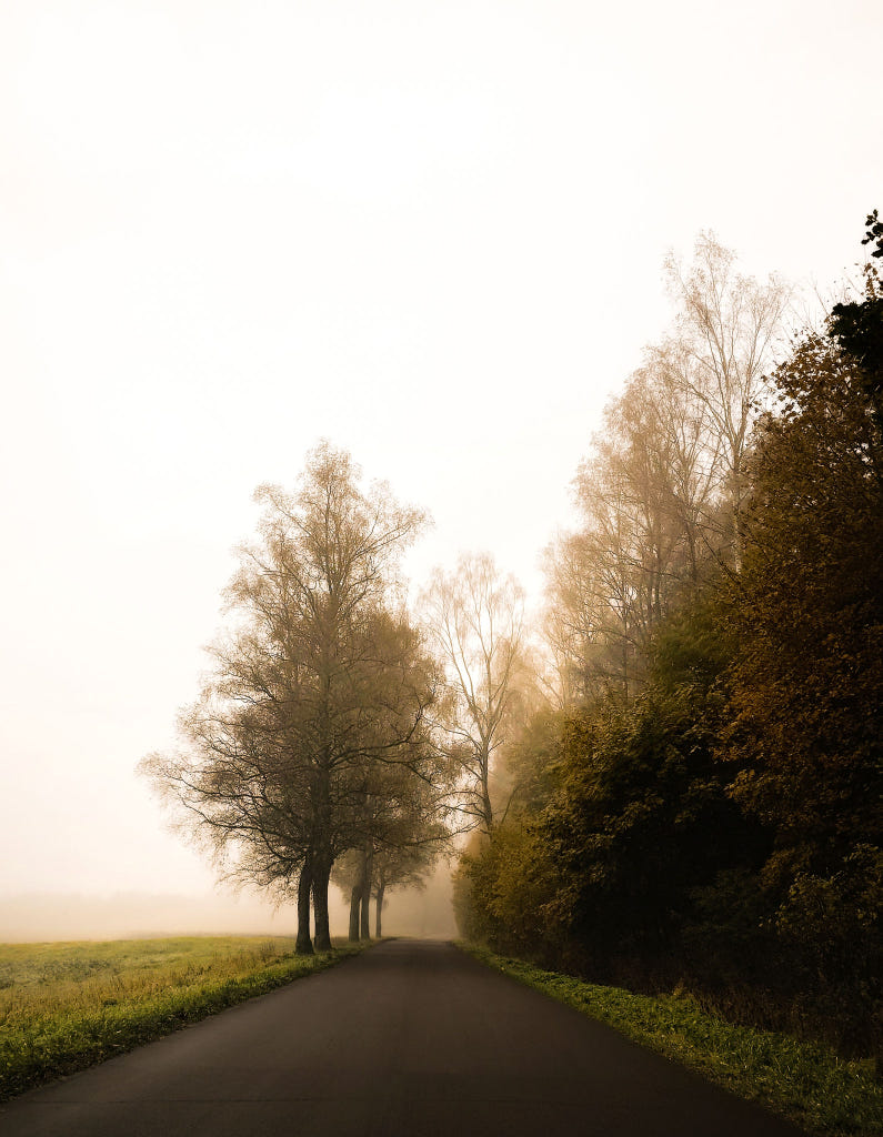 Olya by Thomas Ruppel | 500px