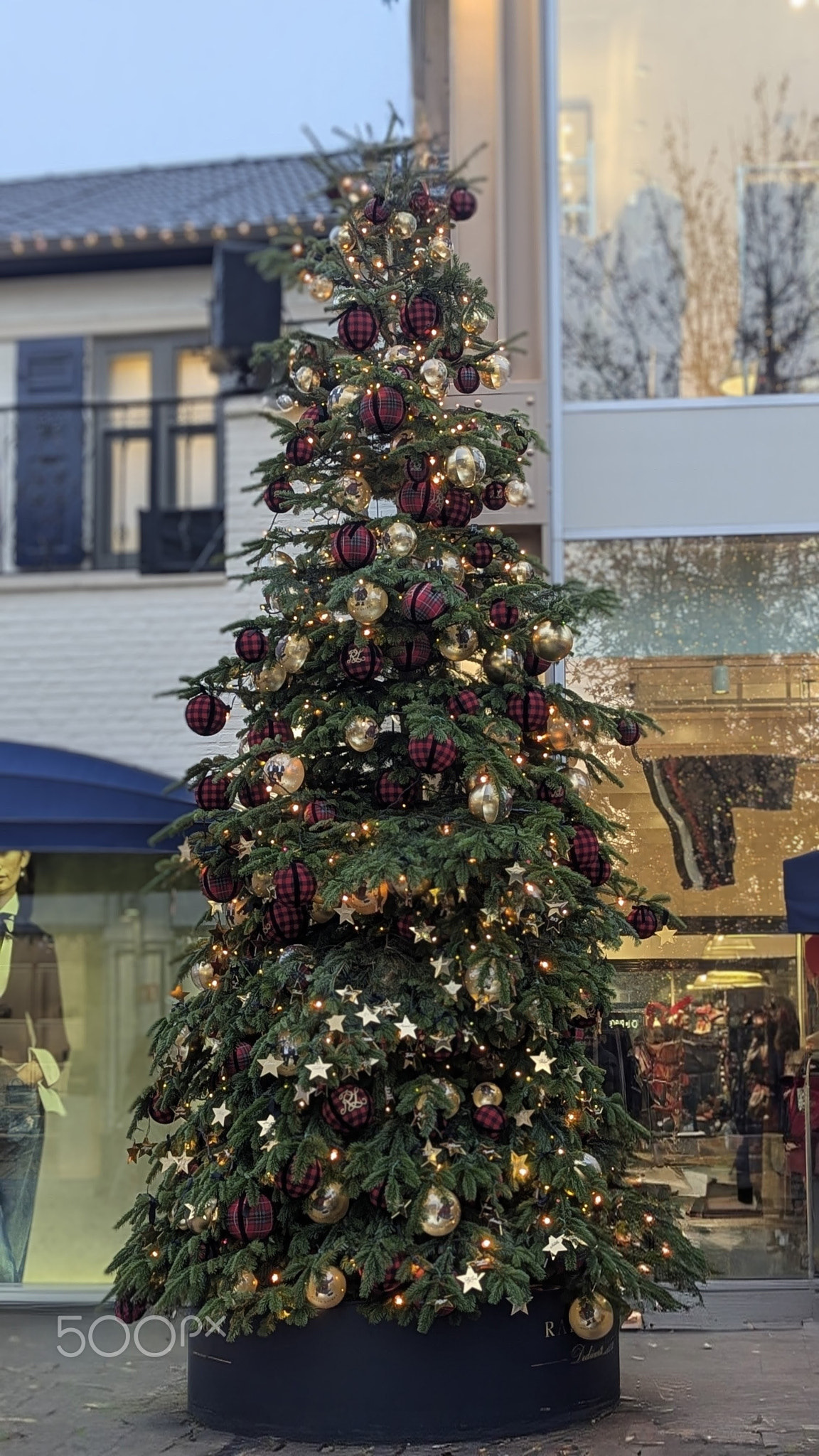 Weihnachtsbaum