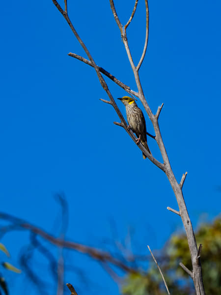 Miyamit by Paul Amyes on 500px.com