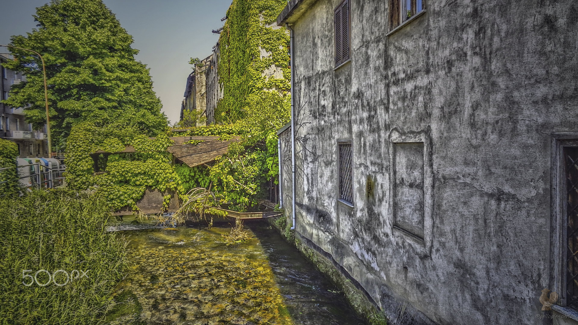 Next to the old wall...