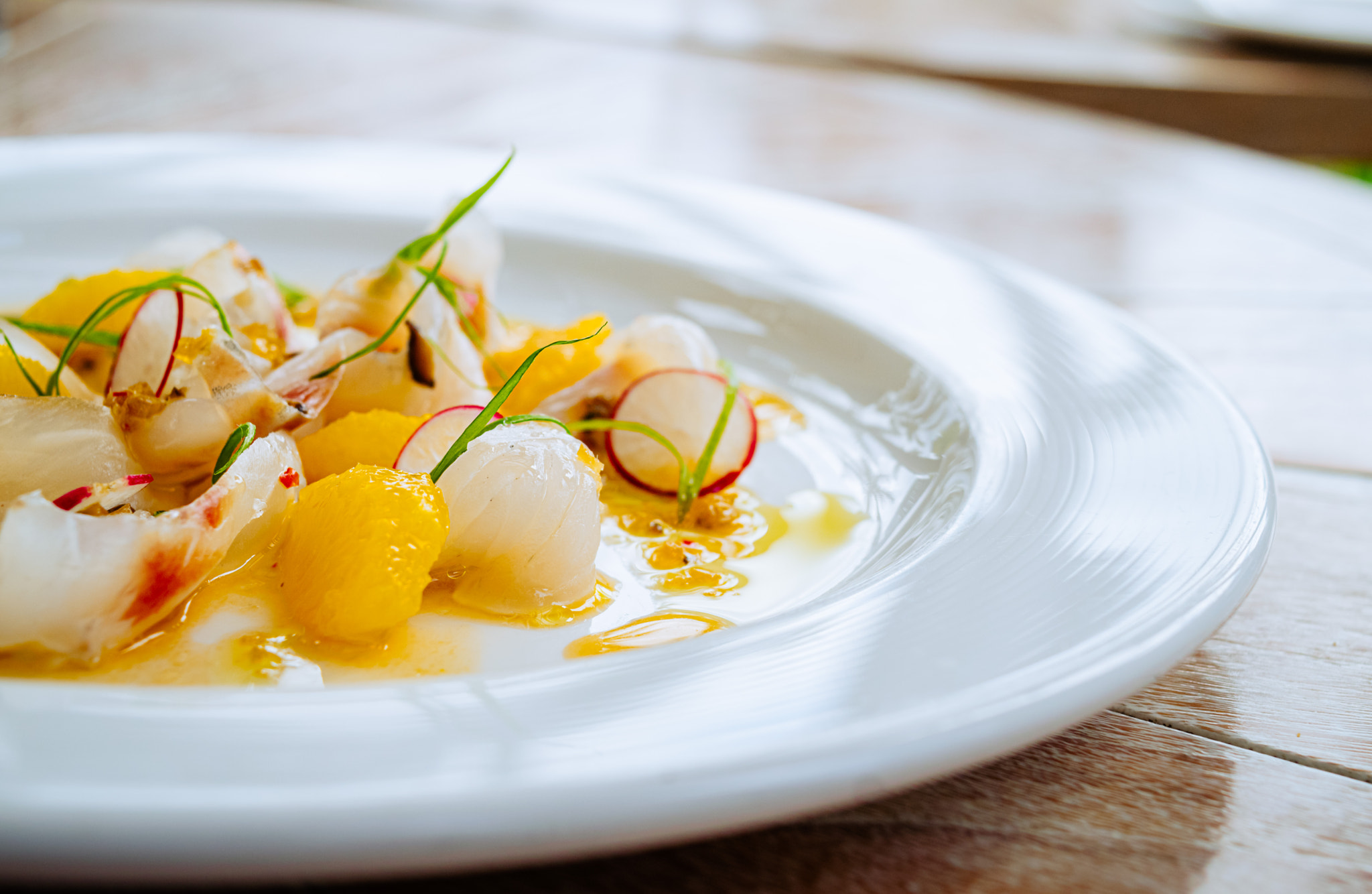 Seafood ceviche plated on a white ceramic dish