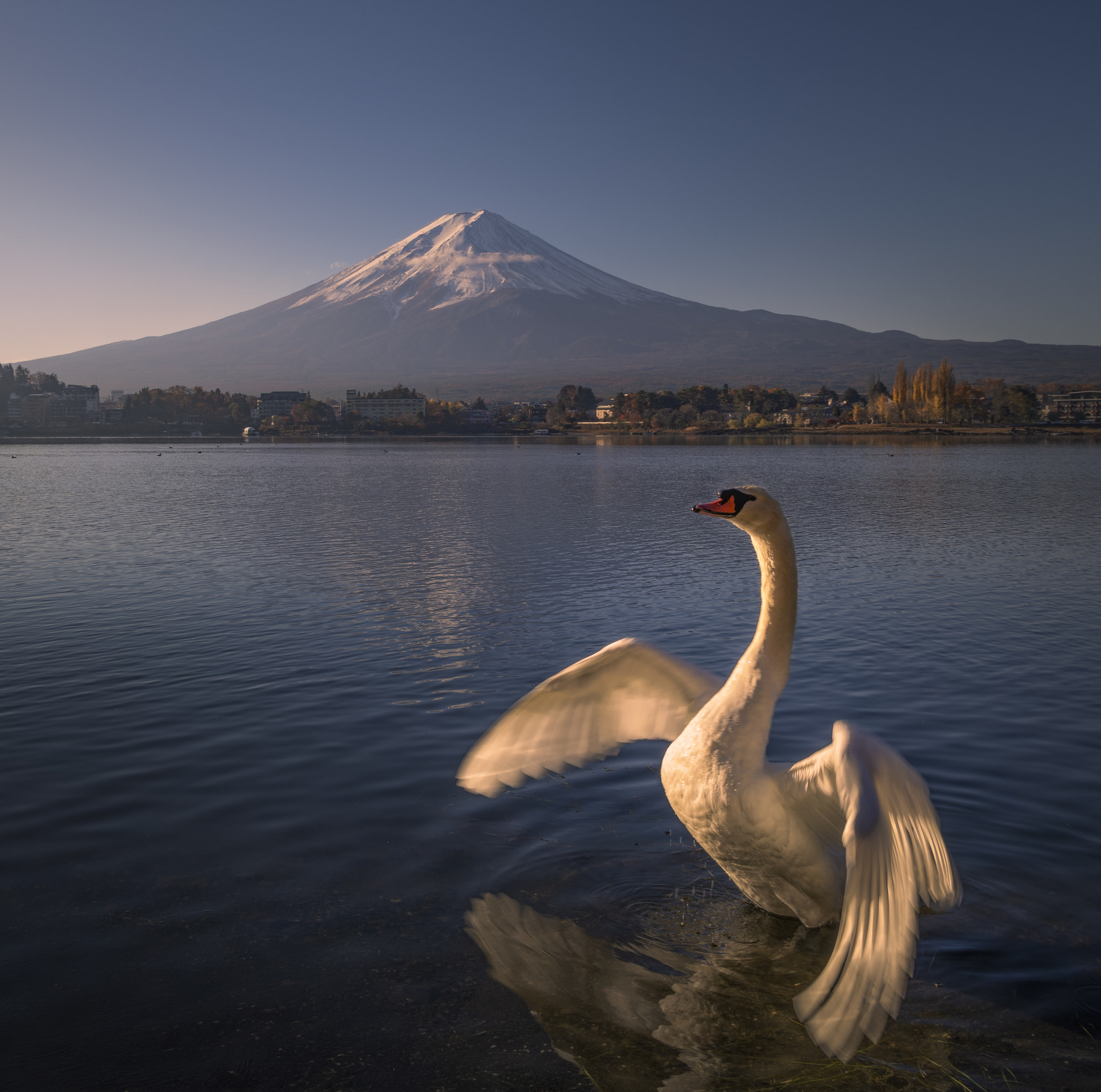 JAPAN, LAKE KAWAGUCHI - MOUNT FUJI-15214 by Raimondo Restelli | 500px
