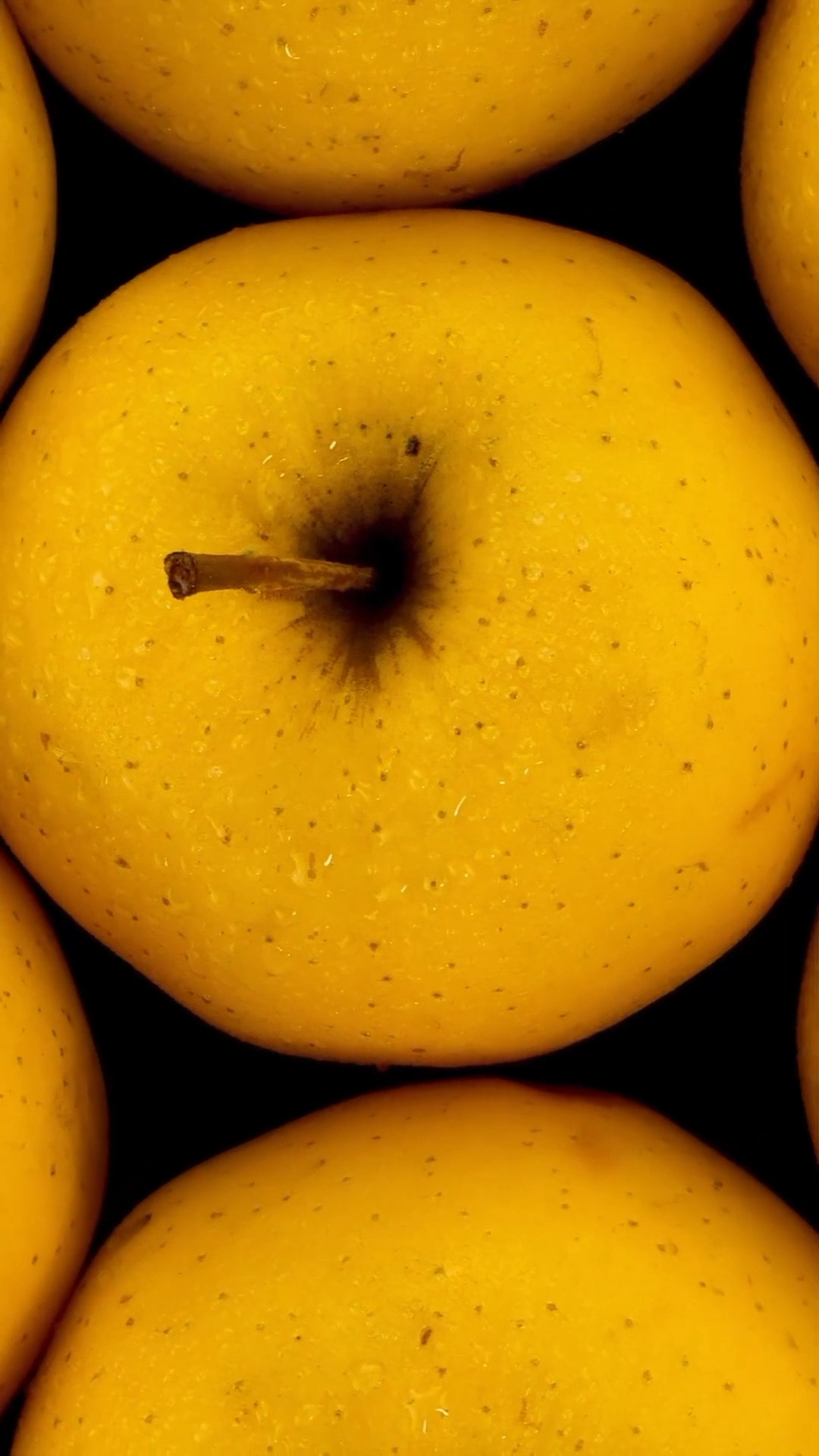 v2?sig=c8ab2469db125825459c4036c3e94cd4a0e2b9e7d105a8c5819d2aff63cf5766