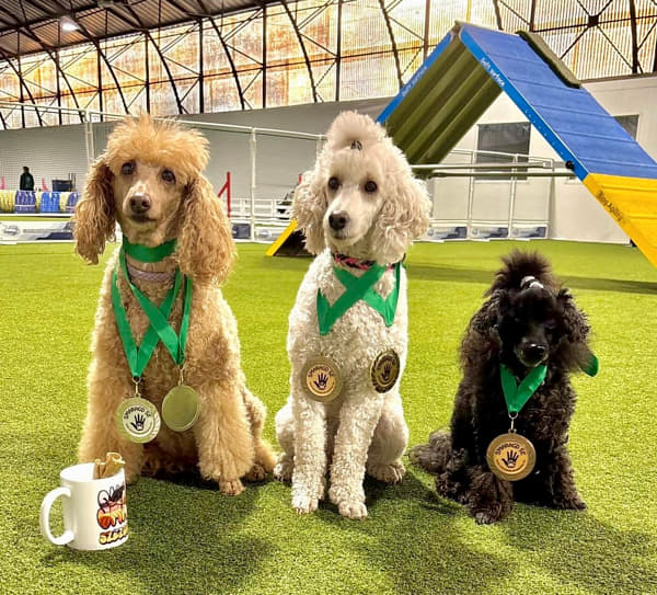 IMG_6332 by Alice Smith on 500px.com