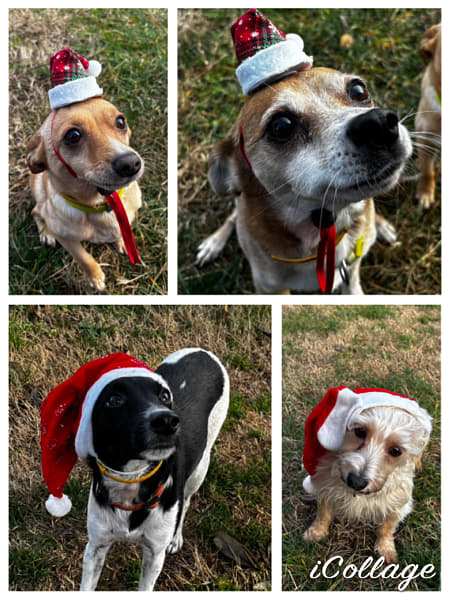 IMG_6257 by Alice Smith on 500px.com