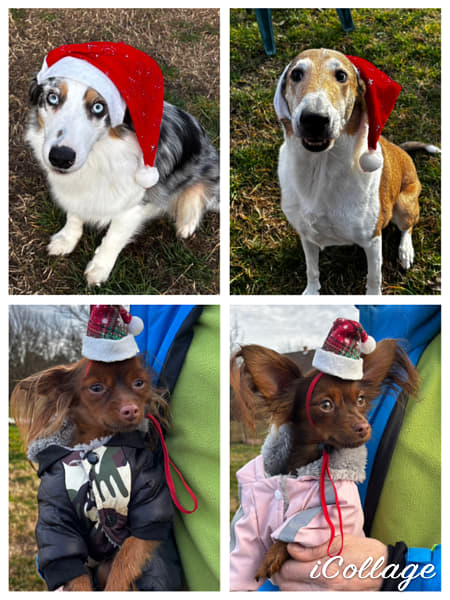 IMG_6256 by Alice Smith on 500px.com