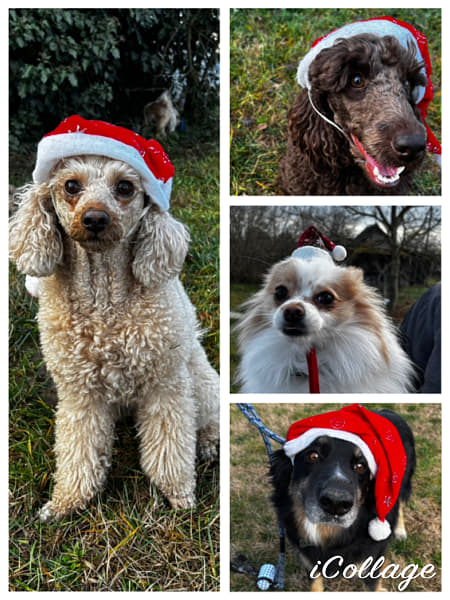 IMG_6258 by Alice Smith on 500px.com