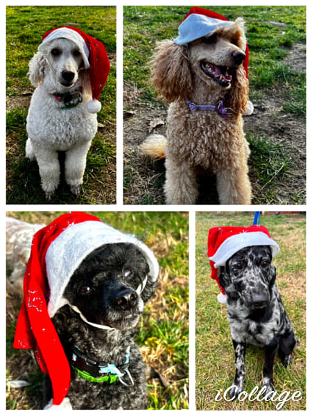 IMG_6259 by Alice Smith on 500px.com