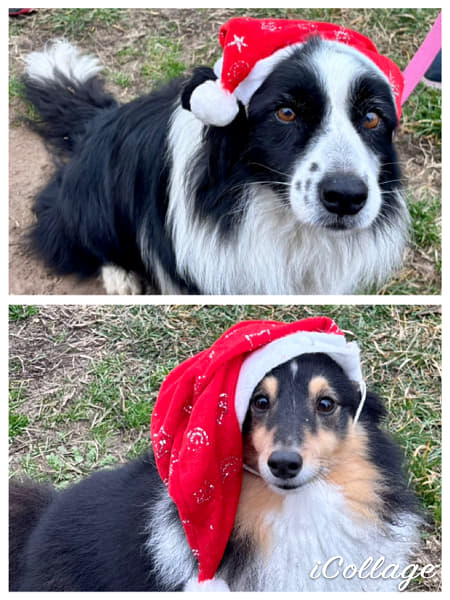 IMG_6333 by Alice Smith on 500px.com