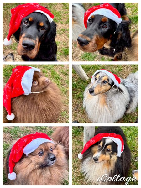 IMG_6260 by Alice Smith on 500px.com