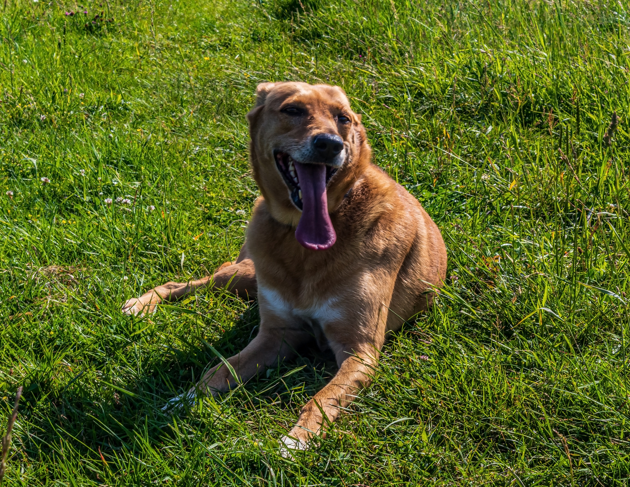 Landscapes, Nature - Black and white photos, monochrome photos - Europe, Eastern Europe