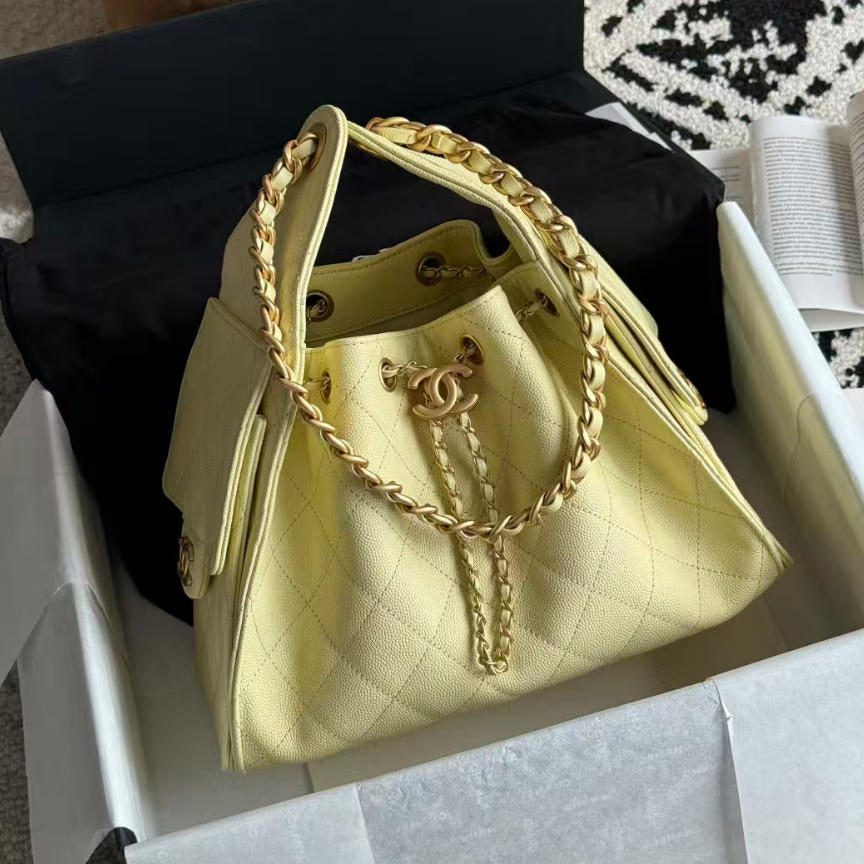 Replica Chanel 25 Medium Hobo Bag